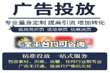 成功案例：网络推广与竞价广告的完美结合